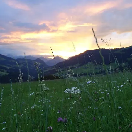 Anna'S Appartement Alpbach Exterior foto