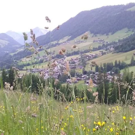 Anna'S Appartement Alpbach Exterior foto