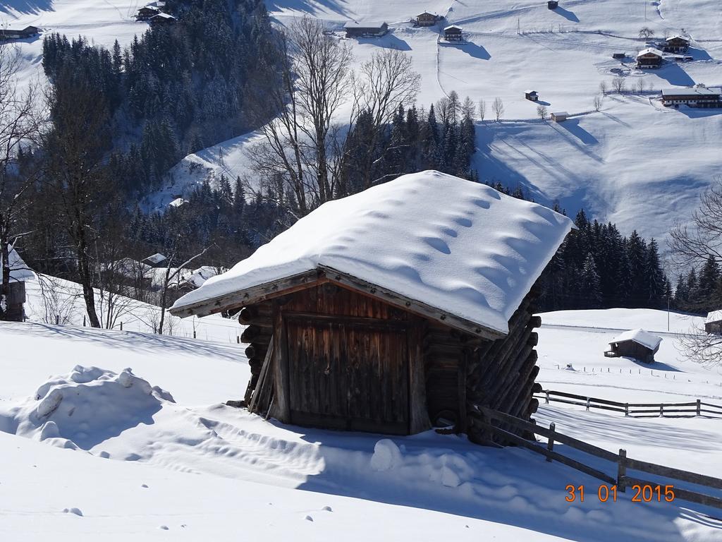 Apartment Annas Alpbach