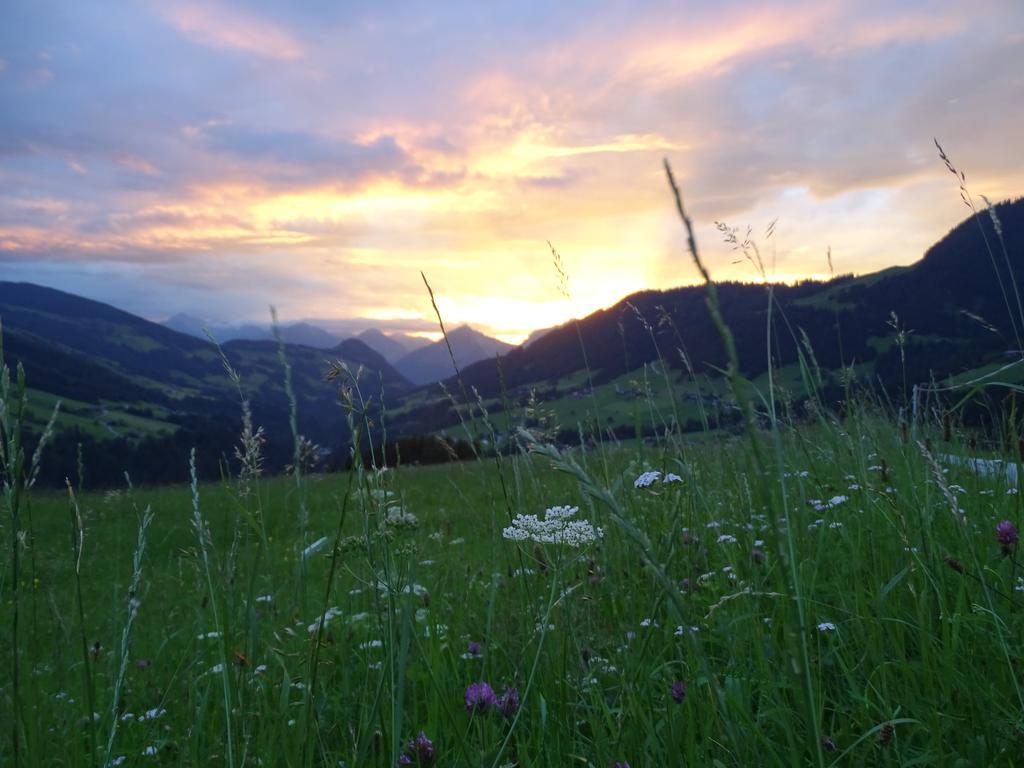 Apartment Annas Alpbach