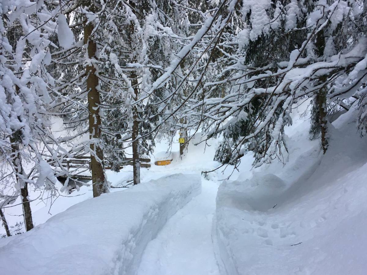 Annas Alpbach